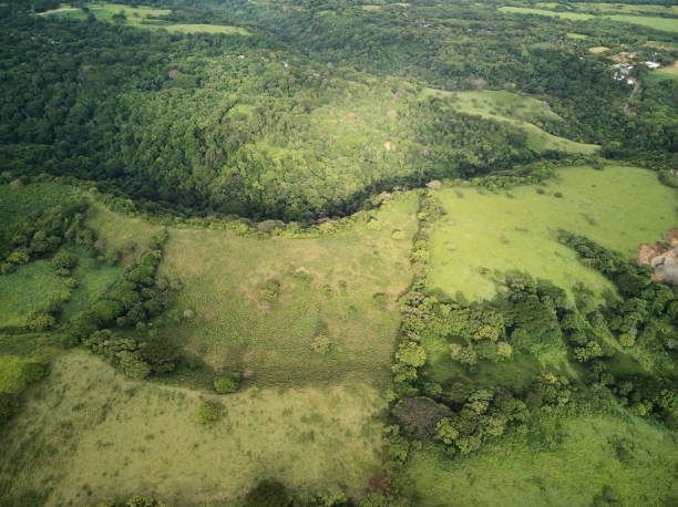 istock Green hills landscape 1160869283