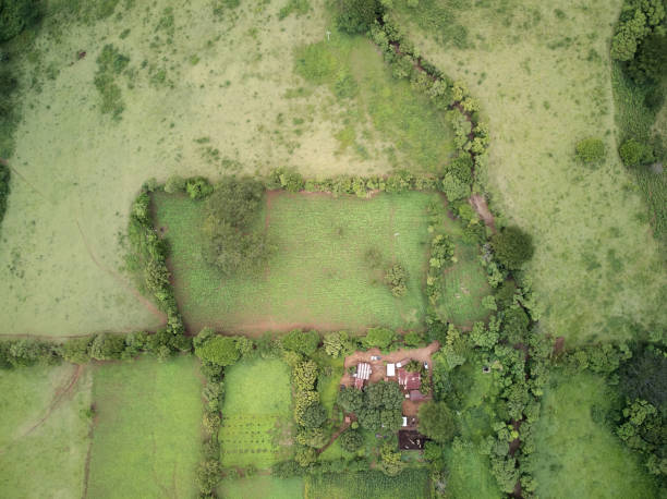 istock Green farm above top view 1160869294
