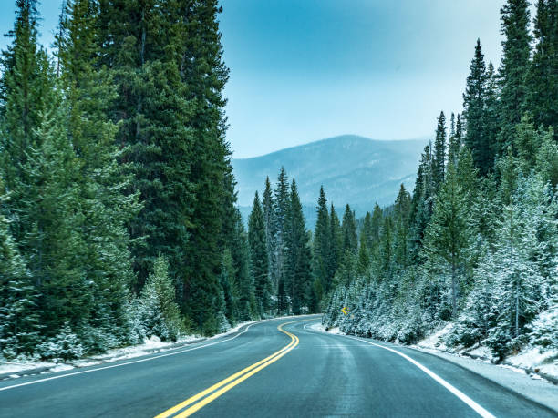 istock Highway into the Rocky Mountains 1160870792