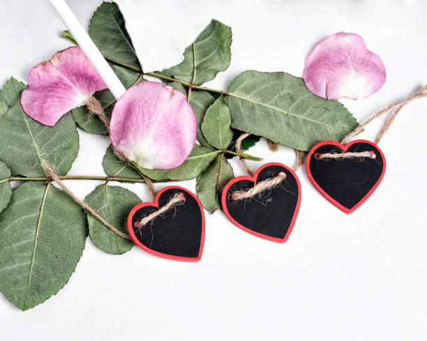 istock roses flowers pink red candle 1160872261