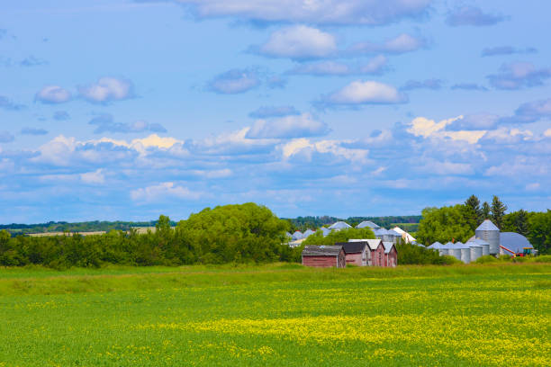 istock Canadian Farm 1160883890