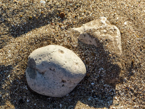 istock Closeup of rocks on the sand 1160884845