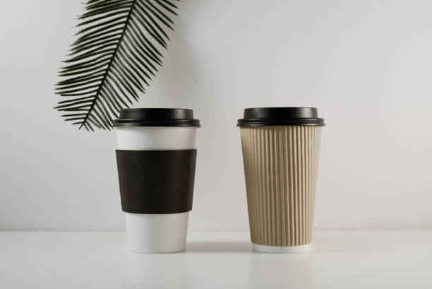 istock biodegradable box package to go food snack coffee container for take away eco friendly. 1160887264