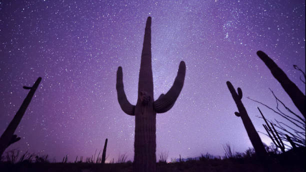 astro colpo di un cactus saguaro nel deserto sonoro dell'arizona - astro photography foto e immagini stock