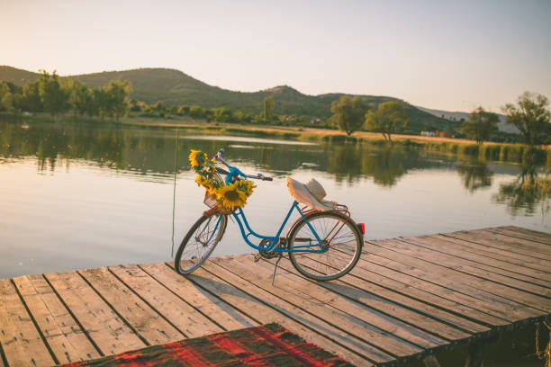 istock Beautiful sunflowers on a bicycle's basket 1160892977