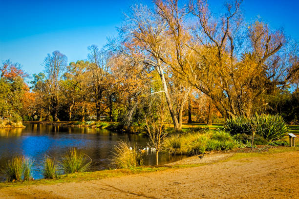 The Castlemaine Botanical Gardens in winter