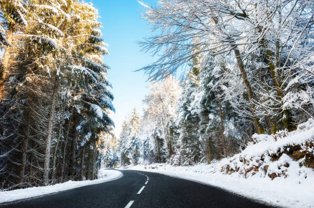 istock Winter road with snow-covered trees in Alps 1160896127