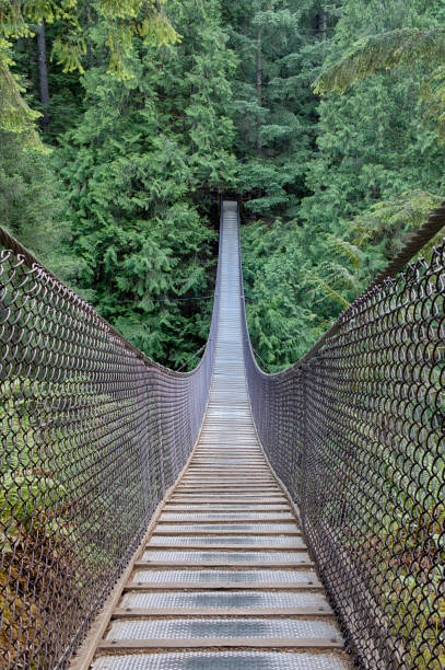 istock Lynn Canyon Suspension Bridge in North Vancouver, Canada 1160896566
