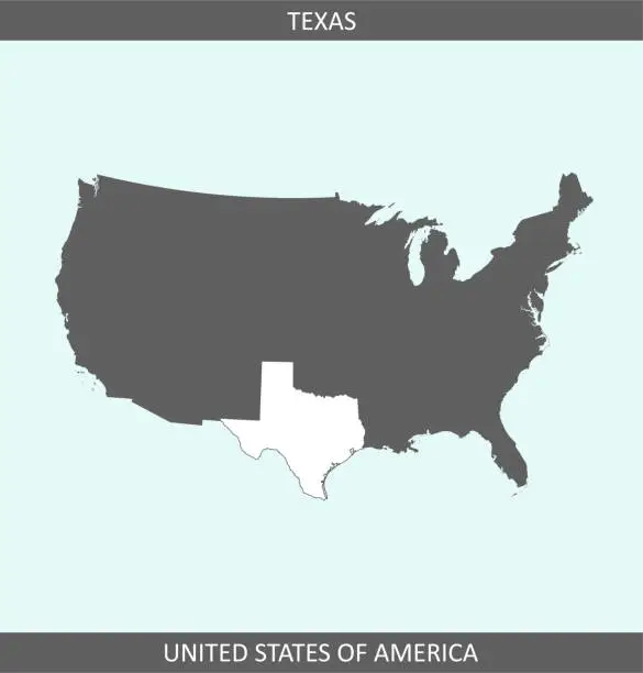 Vector illustration of Texas map USA