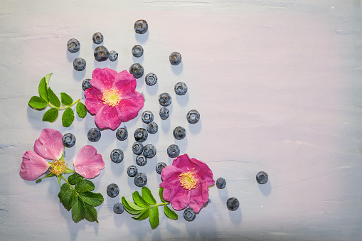 A pattern of rose hip flowers with green leaves and blueberries on a light gray cement background,  copy  space
