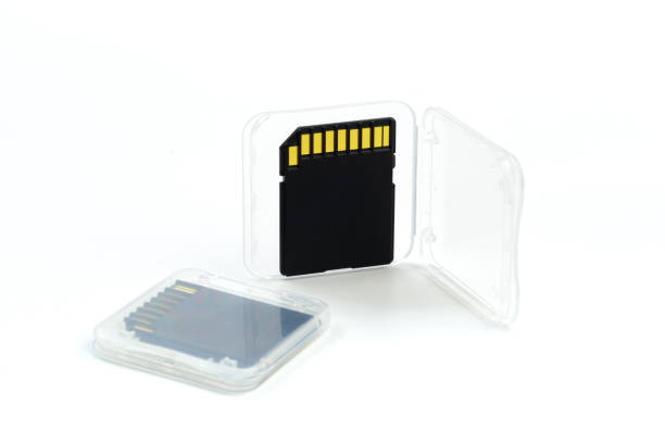 istock SD memory card isolated on white background.- Image 