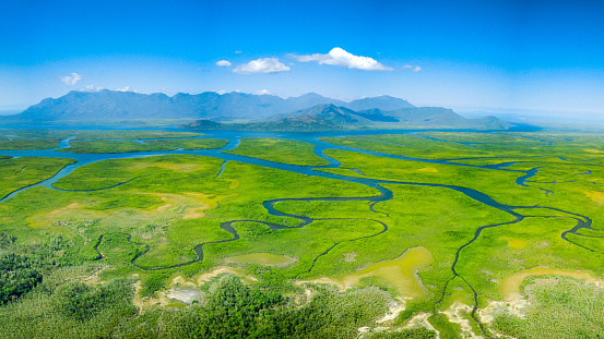 Aerial view of Florida wetlands with green vegetation between ocean water inlets. Natural habitat of many tropical species.