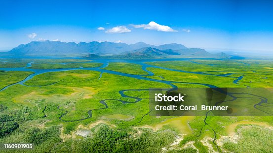 istock Meandering rivers and mangroves of Hinchinbrook Island 1160901905