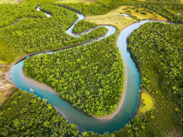 istock Ross River meandering through the mangroves 1160901910