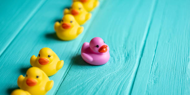 ligne de canards en caoutchouc jaunes, se déplaçant dans une ligne ordonnée, avec un canard violet briser les rangs se déplaçant hors de la ligne suivant sa propre direction, sur un fond de couleur turquoise en bois grainé, représentant conceptuelle - grained photos et images de collection