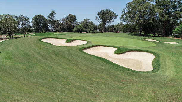 istock Golf course fairway and green with sand bunker hazards surrounded by trees against blue sky 1160903152