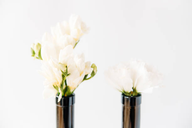 istock light bouquet in bottles.minimal composition of beautiful white flowers.copy space.white background. 1160905556