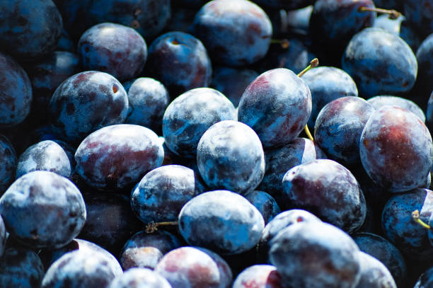 istock Fresh blue plums at a farmers market 1160907696