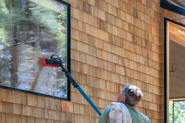 istock Man washing window with long pole and brush 1160907804