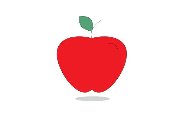 Vector illustration of apple
