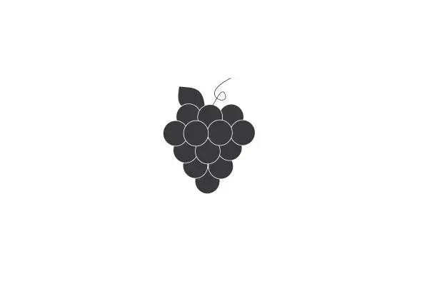 Vector illustration of grape