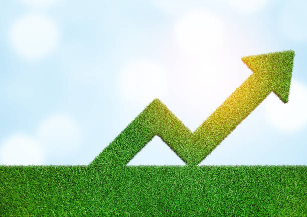 istock Grass with arrow sign symbol business development to success growing growth concept 1160911643