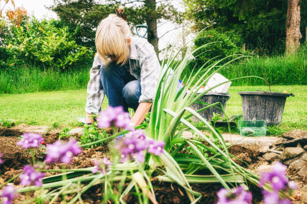 istock Healthy plants and good soil just need sun and water 1160912820