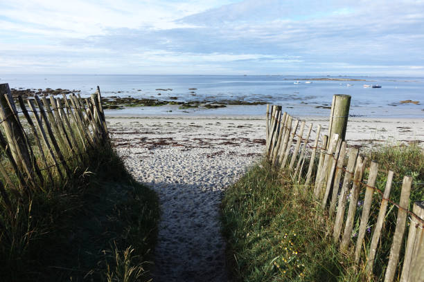 istock The dunes of Bretagne. 1160913052