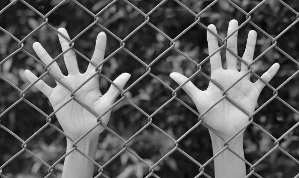 istock Female Hands touching iron mesh, black and white tone 1160913849