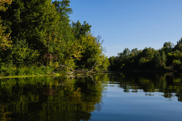 istock Sunny day on a calm river in summer 1160913881