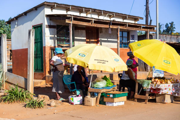 senhoras de swazi que vendem a fruta na estrada guarda-chuvas - street stall - fotografias e filmes do acervo