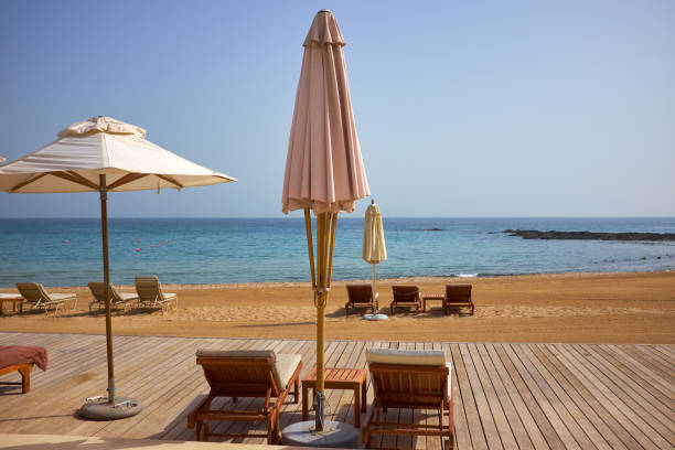 istock empty sun loungers on the beach 1160915934