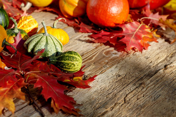 istock Thanksgiving Autumn Fall background with red, brown and yellow l 1160917801