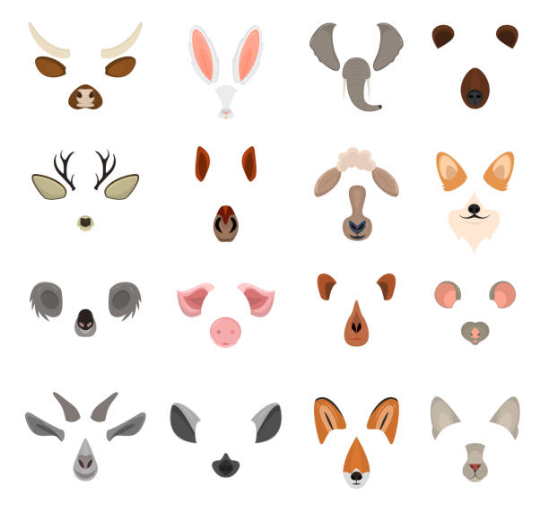 ilustrações de stock, clip art, desenhos animados e ícones de realistic 3d detailed animal face for video chat or selfie set. vector - animal nose