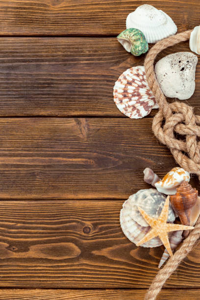 istock Seashells border on wood. Marine background 1160919003