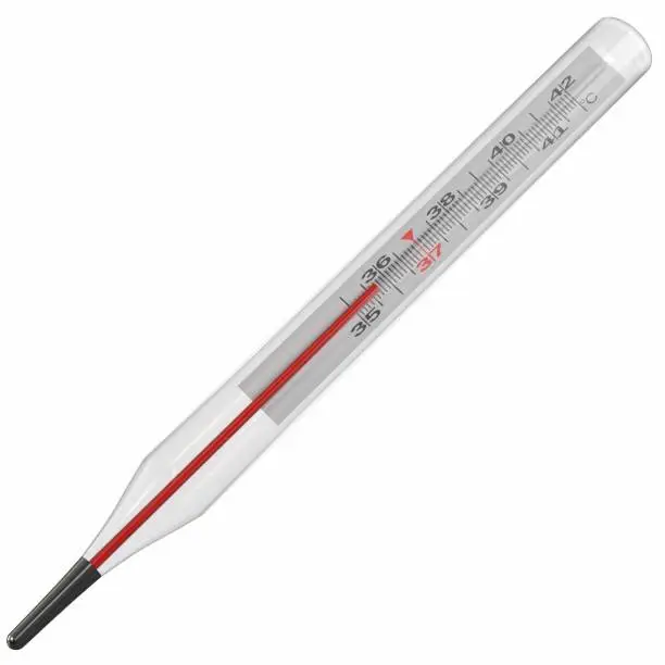 3d rendering illustration of a clinical thermometer