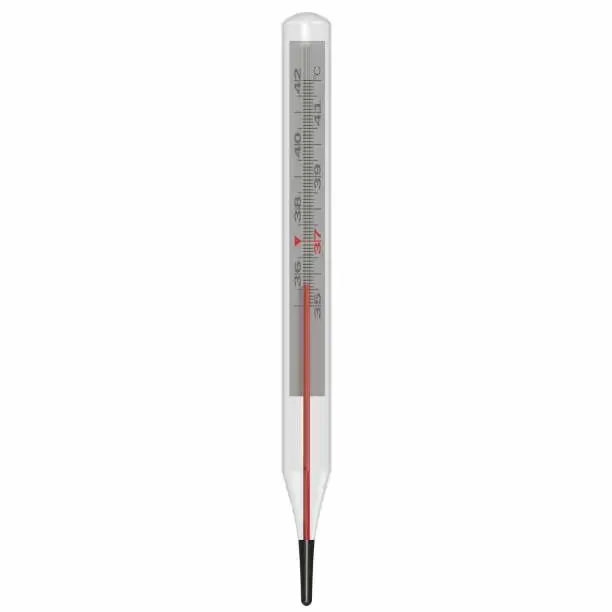 3d rendering illustration of a clinical thermometer
