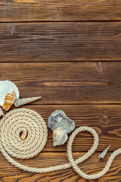 istock Seashells border on wood. Marine background 1160923101