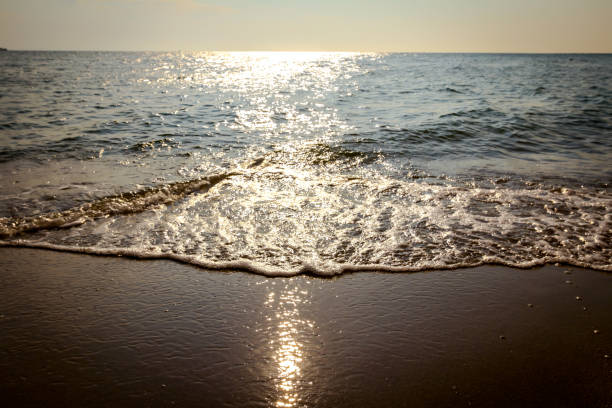 istock Foamy waves on the sandy beach, coastline 1160925815