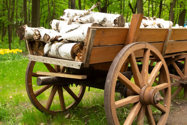 Wood logs on old cart at a farm