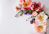 Beautiful blossoming coral peonies, matthiola,roses and eucalyptus making a frame on the white background, top view, flat lay