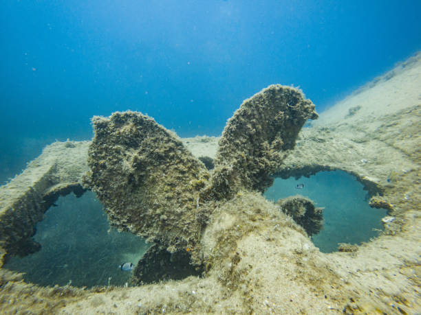 istock Ledenik Shipwreck, Sestrunj Island, Croatia 1160931081