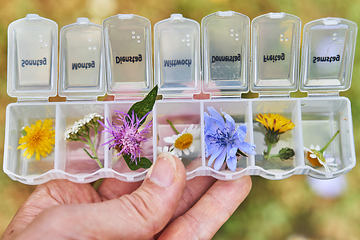 Flowers in a medicine box