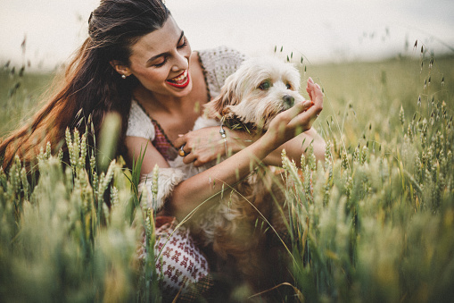 Woman playing with dog in meadow
