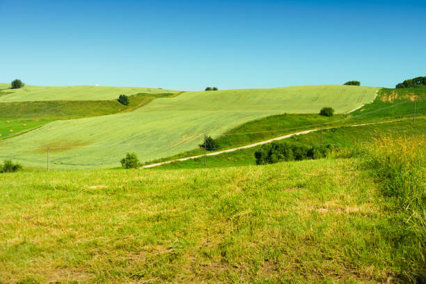 istock Bevelled green fields in Poland 1160940235