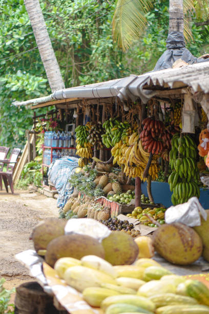Traditional market in Asia with a variety of fruits and vegetables from farms and jungles. Sales business background in Sri Lanka. Stock photo stock photo