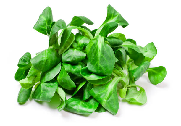 istock Fresh juicy green corn salad 1160942087