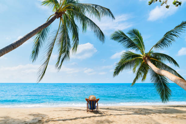 vue arrière de jeune belle femme bronzer et se détendre sur la plage tropicale seule - outdoor chair furniture travel vacations photos et images de collection