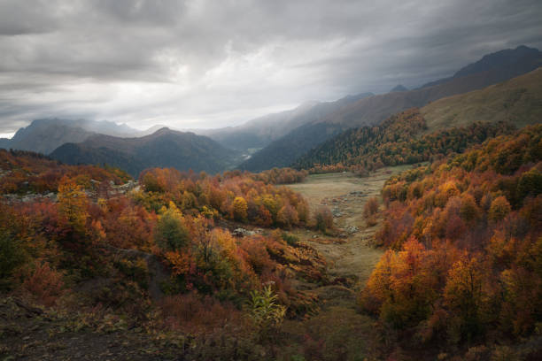 istock colorful autumn forest in the mountains on a cloudy day 1160950874