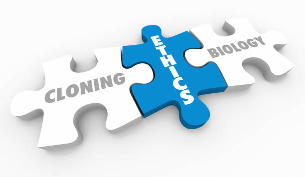 istock Cloning Biology Ethics Puzzle Pieces 3d Illustration 1160952381